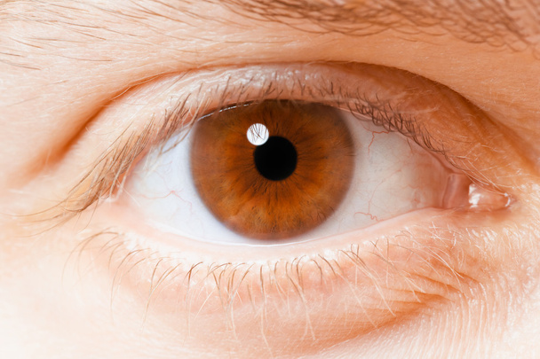 Human eye close up - Фото, зображення