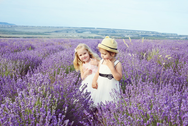 two girls  in lavender field - Fotó, kép