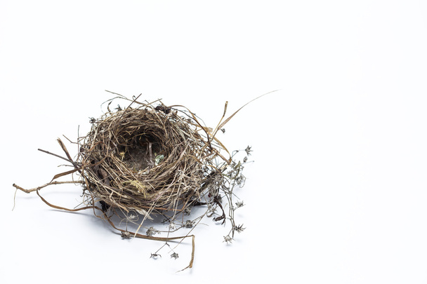 Real bird nest isolated on white background - Photo, Image