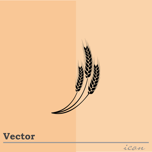 ícone de orelhas de trigo - Vetor, Imagem