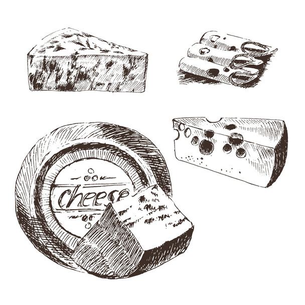 vektor sýr skica návrháře šablony výkresu. zemědělské potraviny kolekce. ruky nakreslené mléčný výrobek - Vektor, obrázek