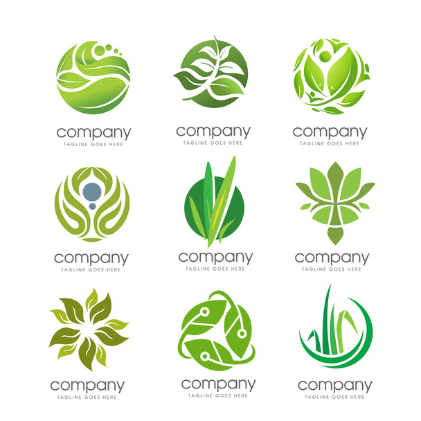 elegante Ökologie grünes natürliches Blatt Logo Set - Vektor, Bild