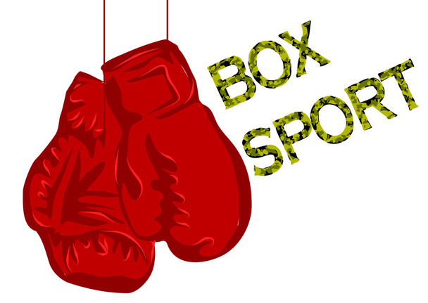 boxing gloves on white - Vector, Image