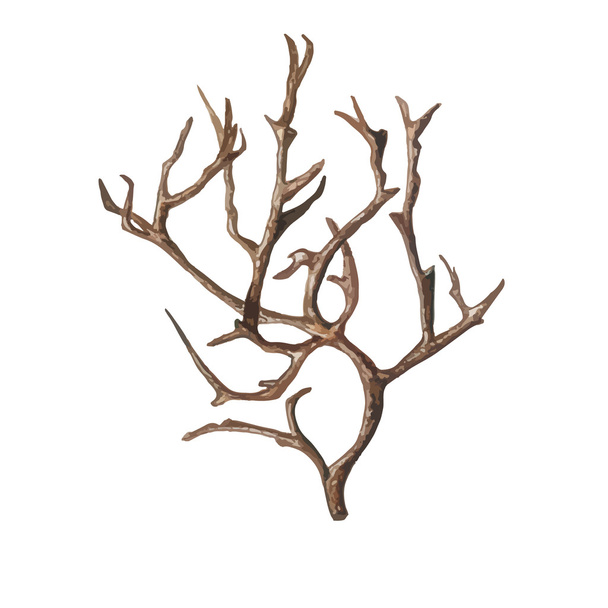 Aquarel oude boom  - Vector, afbeelding