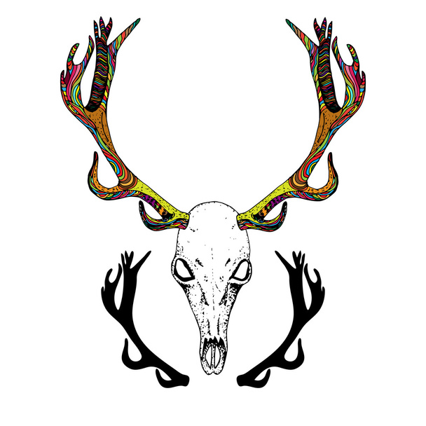 Color Sketch Deer Skull. - Vektor, Bild