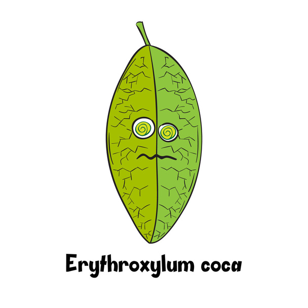 Cartoon Coca Leaf, - ベクター画像