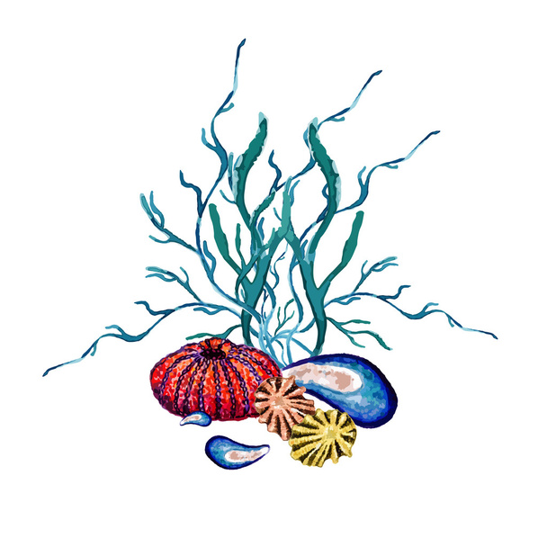 Acuarela Coral, Concha de erizo de mar
 - Vector, Imagen