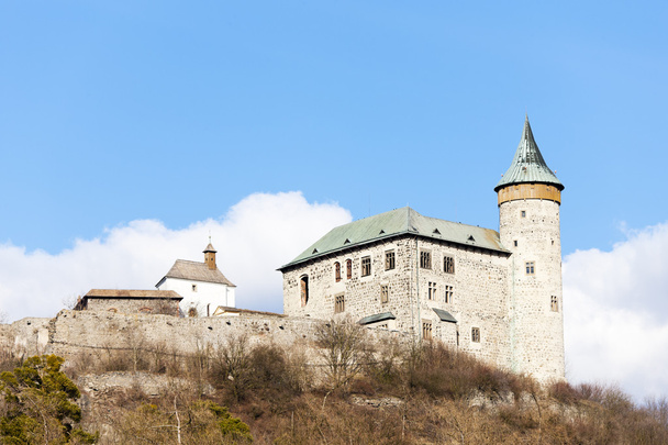 Kuneticka hora Castle, Czech Republic - Foto, imagen