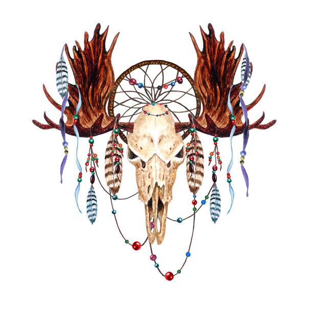 Watercolor Moose Skull - Vector, Image