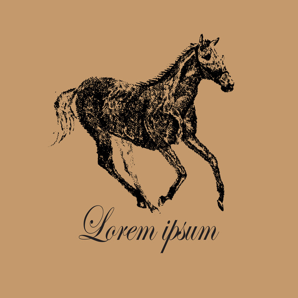 Běžícího koně Logo  - Vektor, obrázek