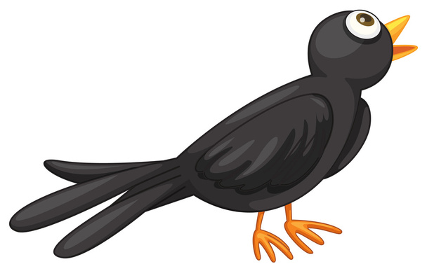 Black bird - Vector, Image