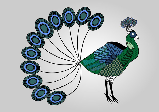 Isolated colorful peacock illustration with hatched patterned body parts, decorative bird, anti-stress coloring - Vektor, obrázek