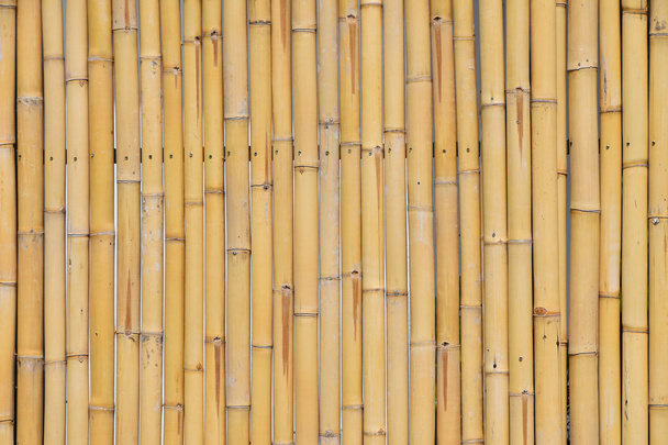 Natural amarelo bambu corpos verticais fundo
 - Foto, Imagem