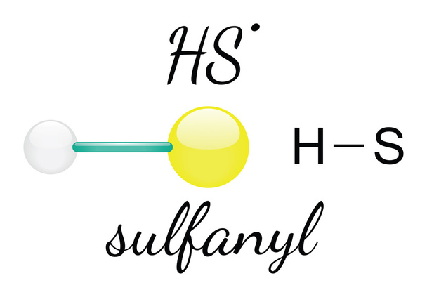HS sulfanyl molekula - Vektor, obrázek