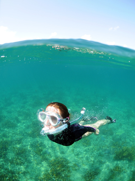 Jeune femme plongée sous-marine
 - Photo, image