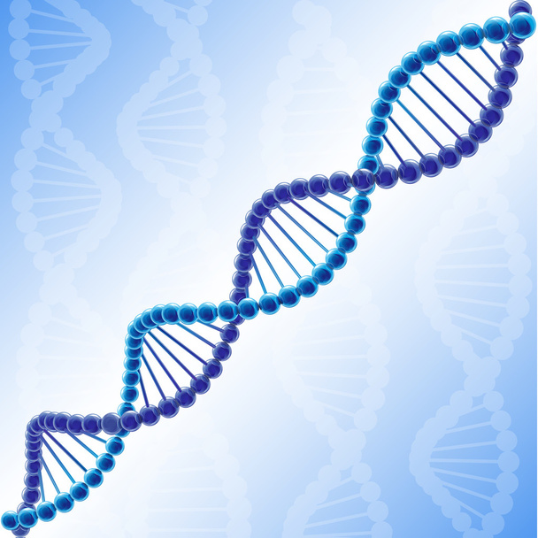 Об'ємний ланцюг ДНК у векторній клітинці
. - Вектор, зображення
