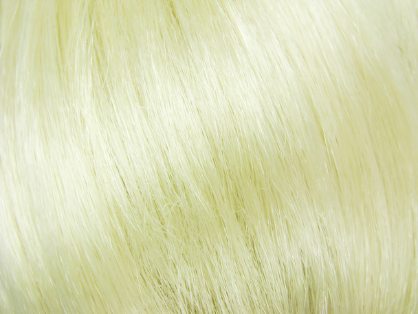 guscio dei capelli biondi
 - Foto, immagini