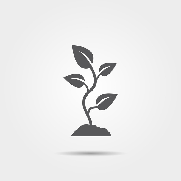 Vector sprout icon - Vector, Image