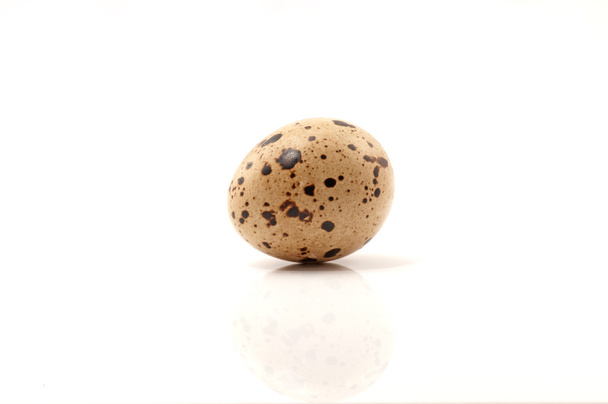 αυγό ορτυκιού - Φωτογραφία, εικόνα