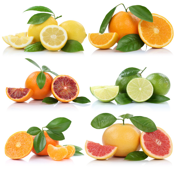 Collection of oranges mandarins lemons grapefruit fruits isolate - Zdjęcie, obraz