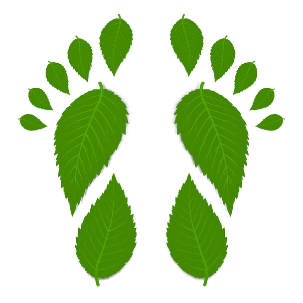 Green footprint - Vector, Image
