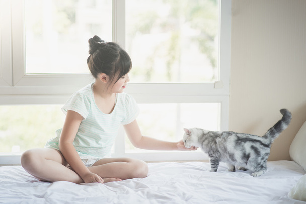 Mooi Aziatisch meisje speelt met de Amerikaanse korthaar kat op het bed - Foto, afbeelding