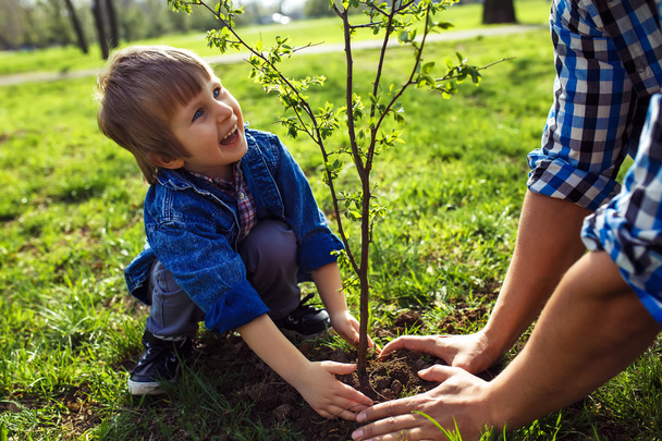 μικρό αγόρι που βοηθά τον πατέρα του να φυτέψει το δέντρο - Φωτογραφία, εικόνα