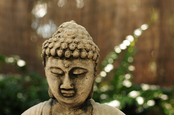 kahverengi ve yeşil arka plana sahip huzurlu Buda - Fotoğraf, Görsel
