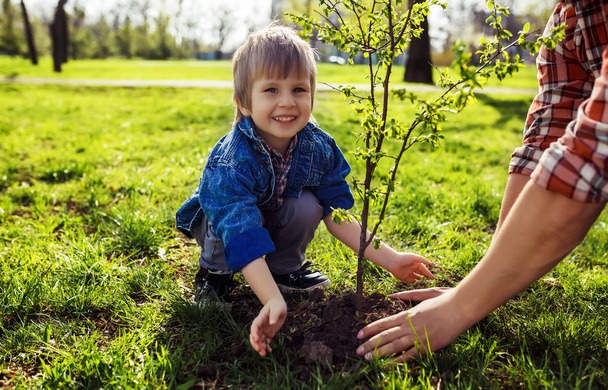 little boy helping his father to plant the tree - Φωτογραφία, εικόνα