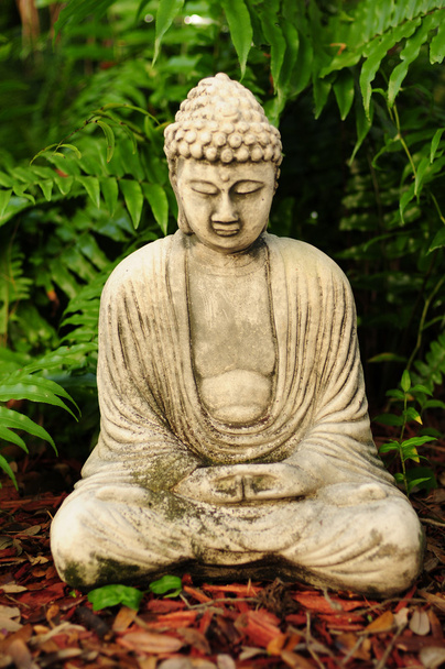 Buddha meditating with ferns in the background - Fotoğraf, Görsel