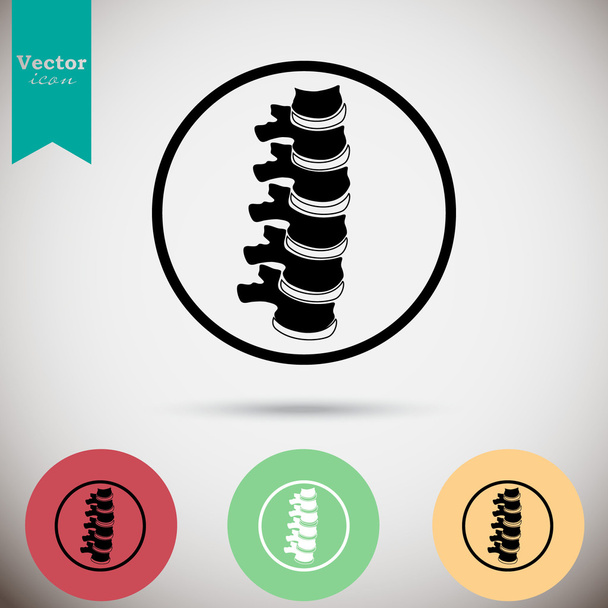 menselijke wervelkolom icons set - Vector, afbeelding
