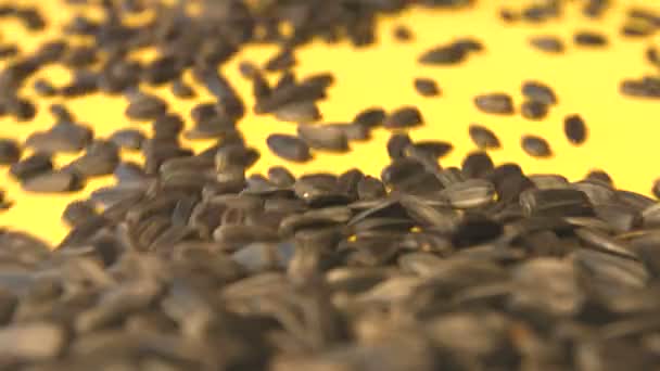 Sonnenblumenkerne auf gelbem Hintergrund. Zeitlupe. Nahaufnahme. vertikale Pfanne. 2 Schüsse - Filmmaterial, Video