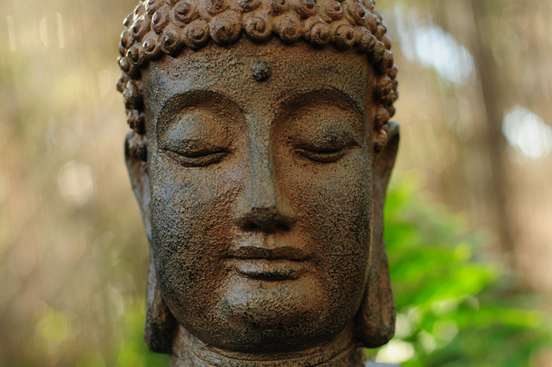 Culture bouddhiste
 - Photo, image