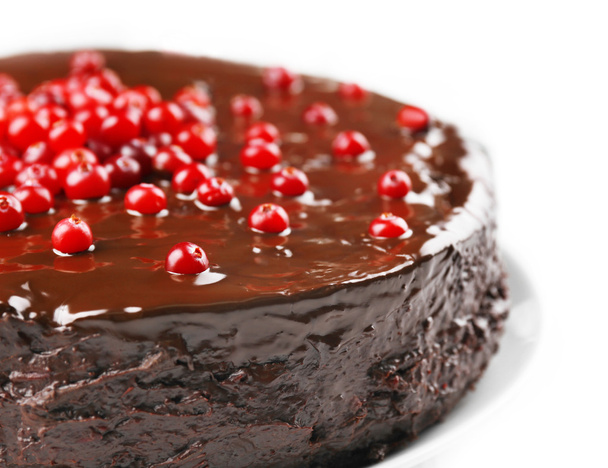 Chocolate cake with cranberries  - Fotó, kép