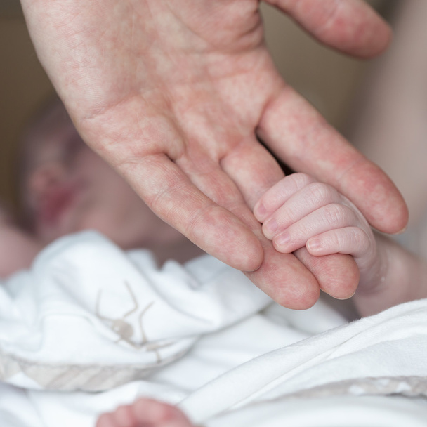 Un bebé recién nacido de la mano sostiene los padres dedo
 - Foto, Imagen