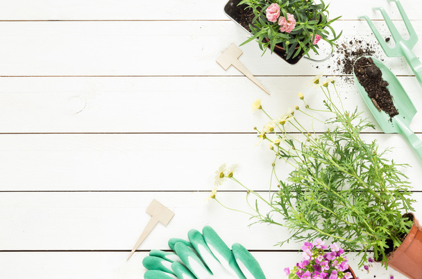 Spring - gardening tools and flowers in pots on white wood - Foto, afbeelding