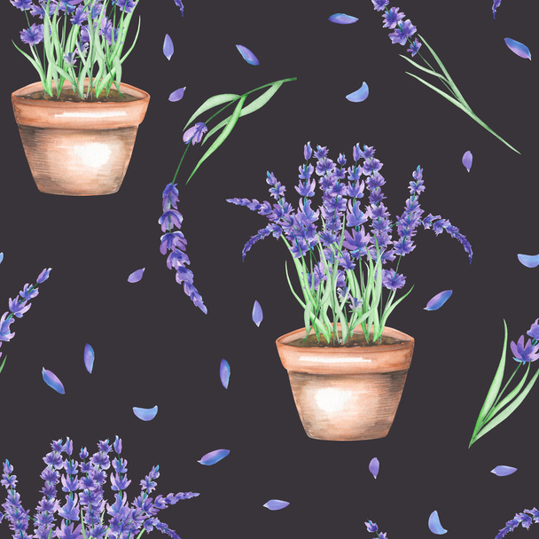 A seamless pattern with the watercolor lavender flowers in a pot - Photo, Image