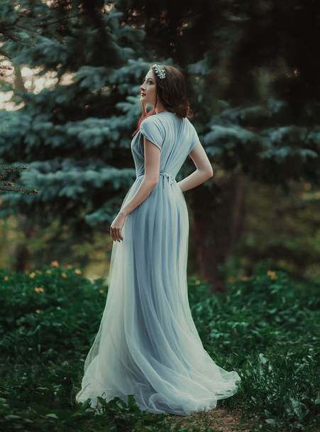 The girl in transparent dress - Foto, Imagem