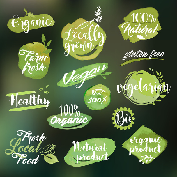 Set of watercolor hand drawn labels and badges for organic food and drink - Vector, Image