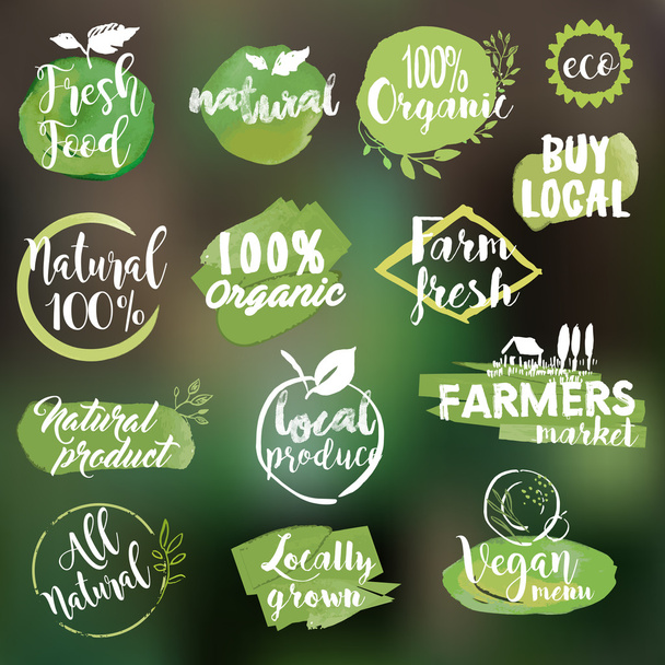 Conjunto de adesivos e crachás desenhados à mão aquarela para alimentos e bebidas orgânicos
 - Vetor, Imagem