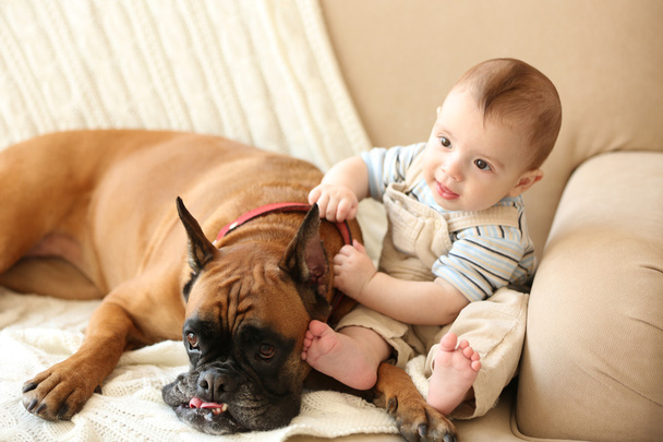 Little baby boy with boxer dog  - Фото, зображення