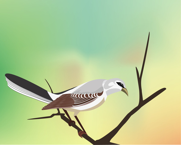 Птица-насмешка в ожидании еще одной птицы
,          - Вектор,изображение