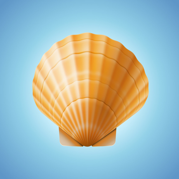 Realistic scallop seashell, isolated on blue background - Vector, imagen