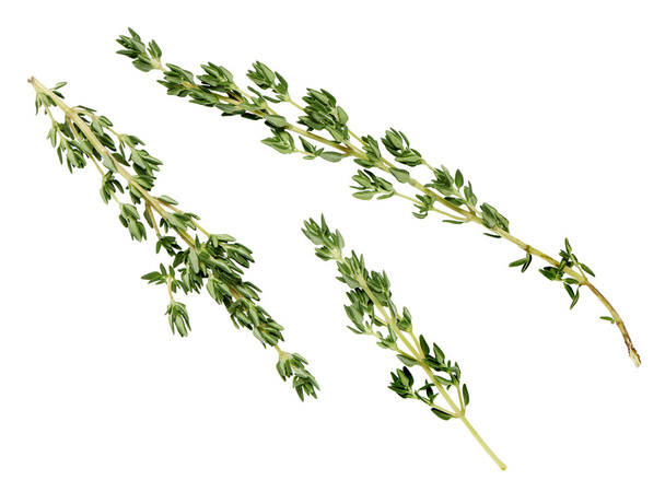 ветви тимьяна на белом фоне
  - Фото, изображение