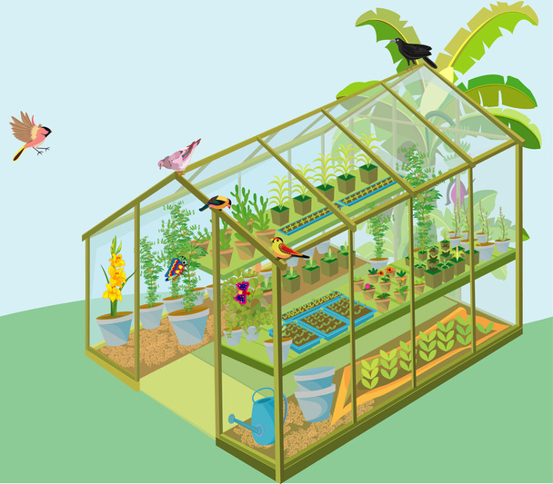 Növények találhatók az üvegházhatást okozó - Vektor, kép