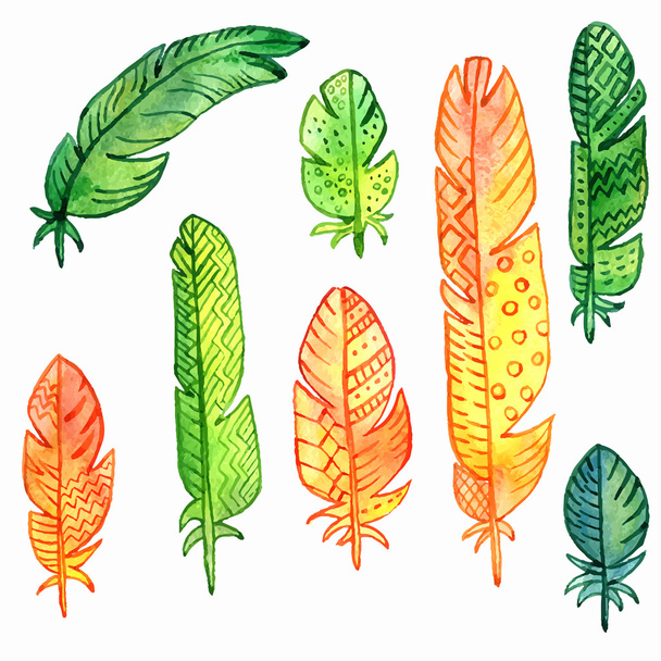 vector set of watercolor feathers - Vector, Image