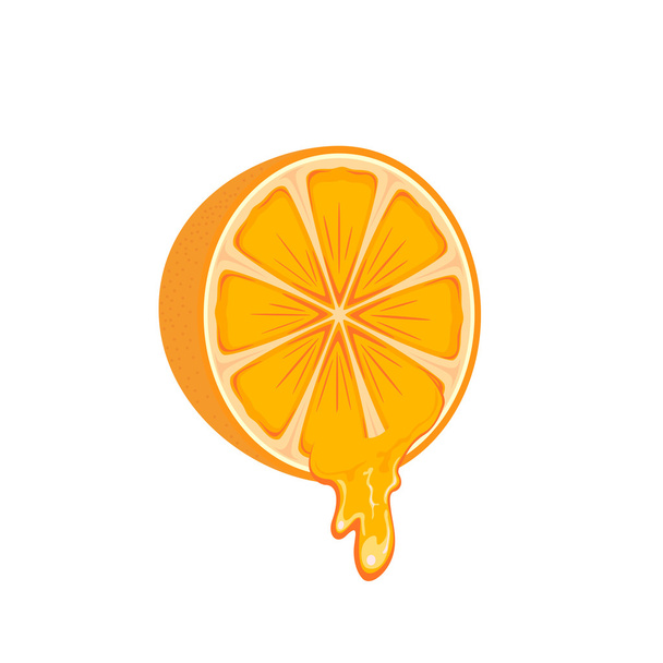 Juicy orange on white background - Вектор,изображение