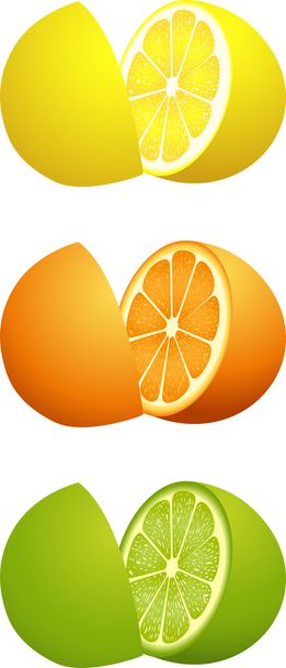 Citrusvruchten, snij doormidden - Vector, afbeelding