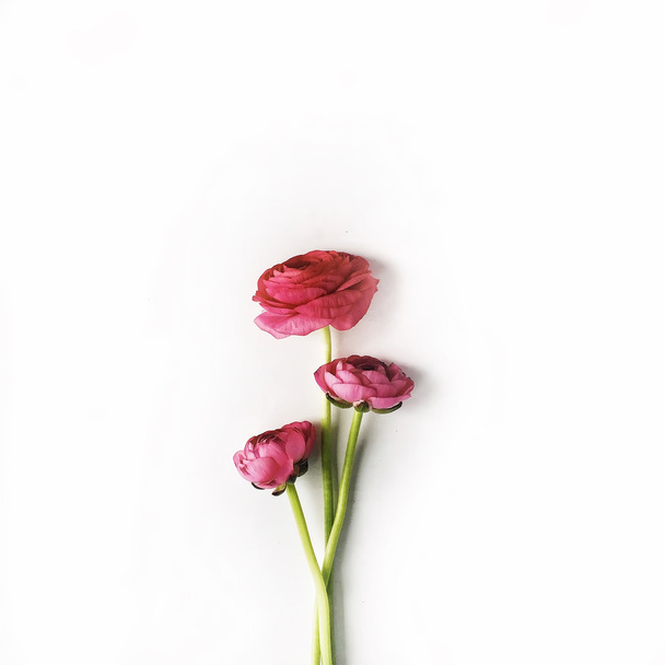 Rote Rosen oder Hahnenfuß isoliert  - Foto, Bild