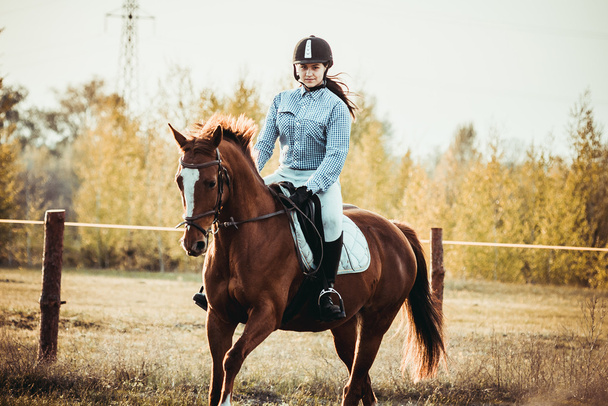 Chica montando un caballo - Foto, imagen